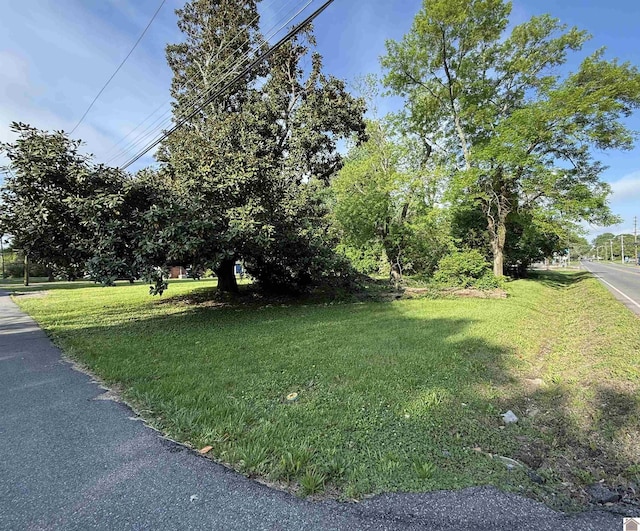 805 Sycamore St, Murray, KY 42071