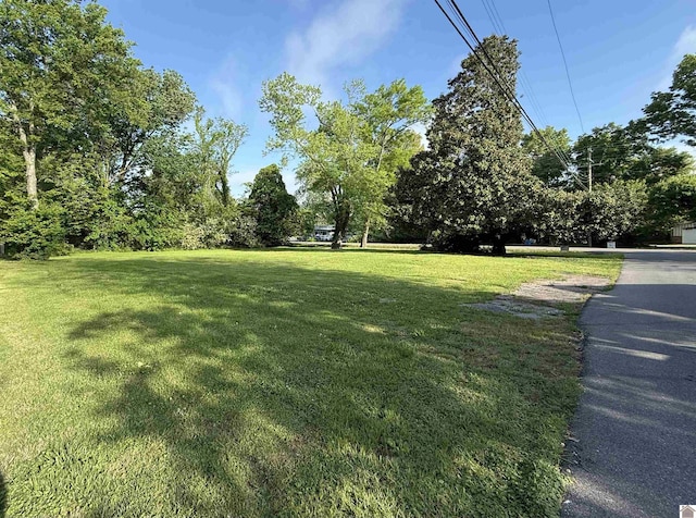 805 Sycamore St, Murray, KY 42071