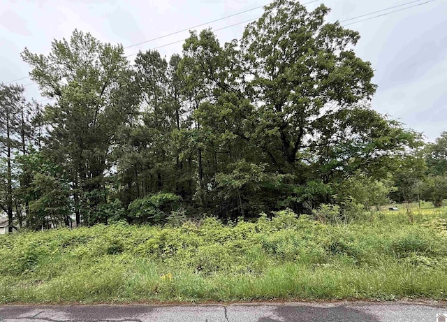 694 Green Plain Rd, Hazel, KY 42049