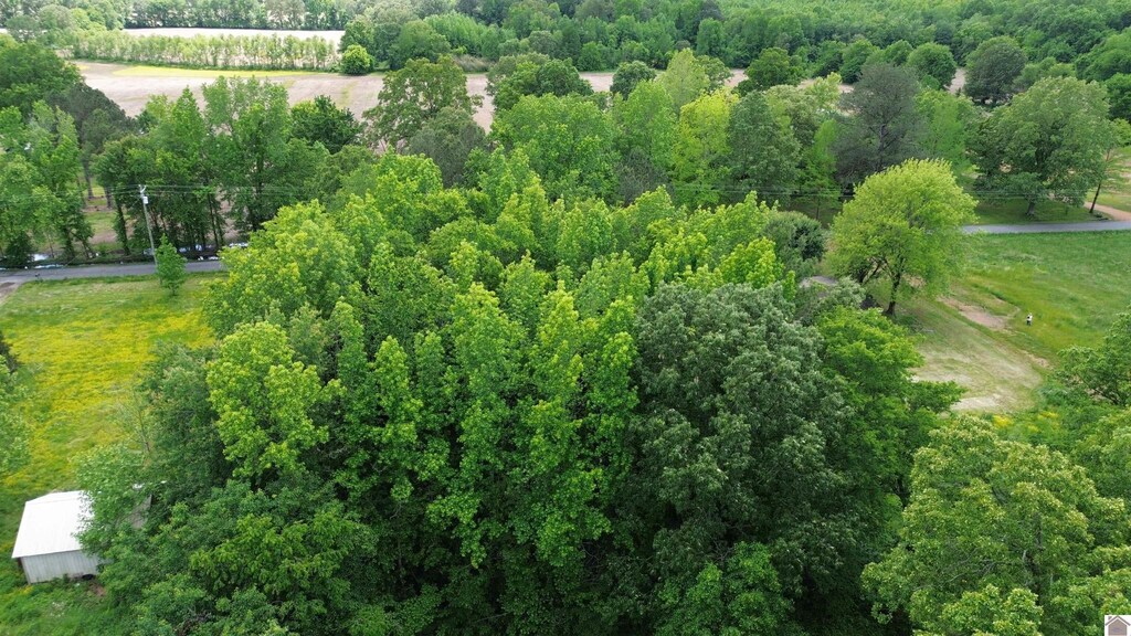 694 Green Plain Rd, Hazel, KY 42049
