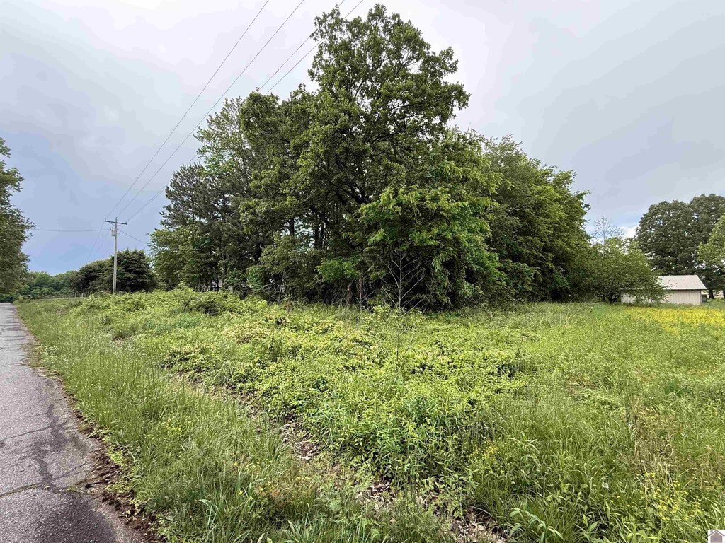 694 Green Plain Rd, Hazel, KY 42049