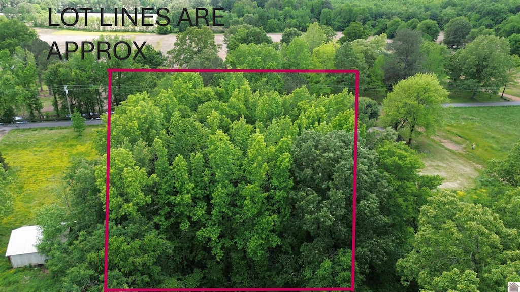 694 Green Plain Rd, Hazel, KY 42049
