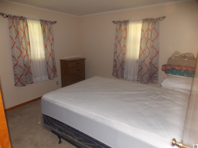 528 Elm, Clinton, KY 42031 - bedroom featuring crown molding and carpet flooring