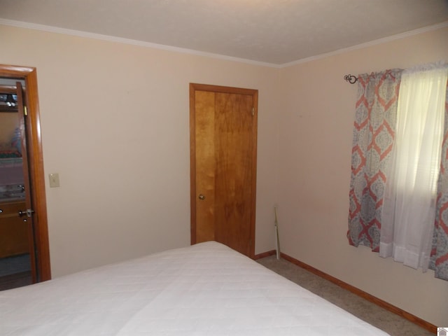 528 Elm, Clinton, KY 42031 - carpeted bedroom featuring crown molding and baseboards