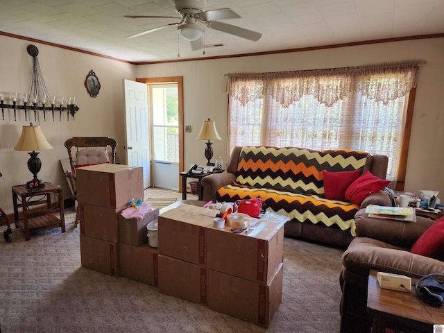 1691 Symsonia Hwy, Benton, KY 42025 - living area with carpet, ornamental molding, and ceiling fan