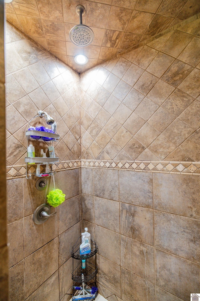 124 Hughes Rd, Benton, KY 42025 - bathroom with tiled shower