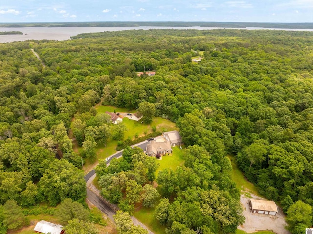 124 Hughes Rd, Benton, KY 42025 - aerial view of a heavily wooded area