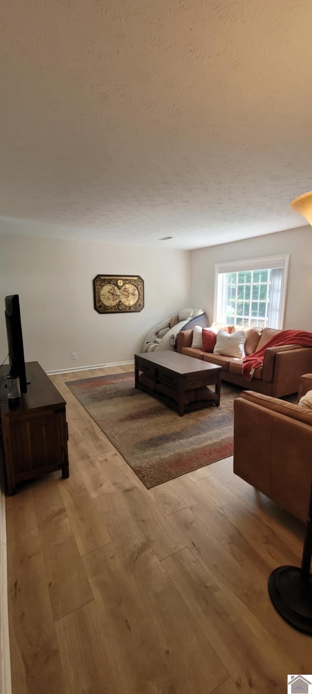 135 Phipps St, Paducah, KY 42001 - living area featuring wood finished floors and a textured ceiling