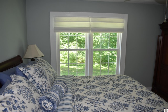 3975 Contest Rd, Paducah, KY 42001 - bedroom featuring multiple windows