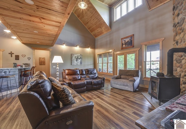 3210 Douglas Rd, Murray, KY 42071 - living room with high vaulted ceiling, wood finished floors, wood ceiling, and a wood stove