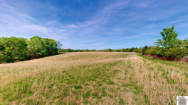 3210 Douglas Rd, Murray, KY 42071 - view of yard with a view of rural / pastoral area