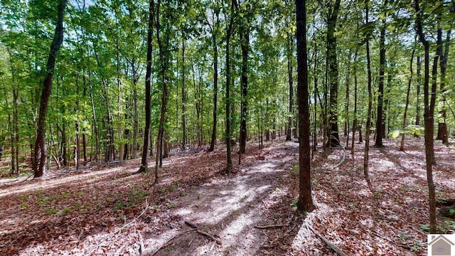 3210 Douglas Rd, Murray, KY 42071 - view of tree filled area