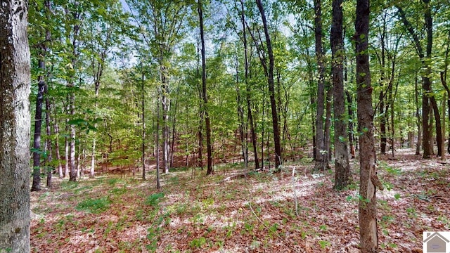 3210 Douglas Rd, Murray, KY 42071 - view of tree filled area