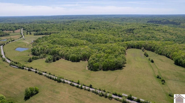 3210 Douglas Rd, Murray, KY 42071 - drone / aerial view of a forest and a large body of water