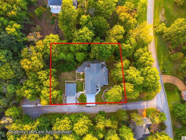 34 Navajo Ct, Cadiz, KY 42211 - aerial overview of property's location with property boundaries highlighted