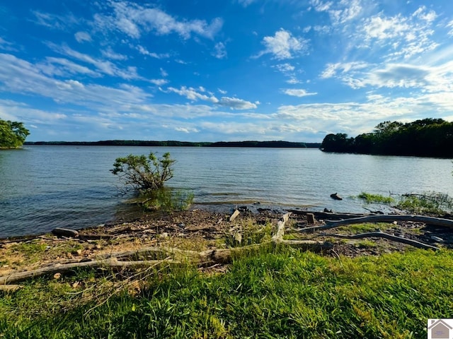 73 Lakeshore Dr, Eddyville, KY 42038