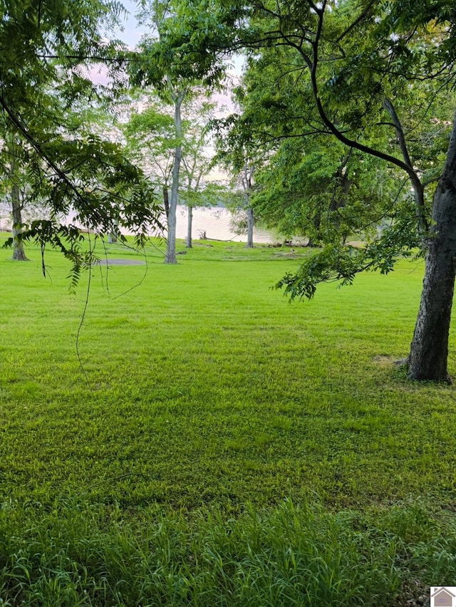 73 Lakeshore Dr, Eddyville, KY 42038