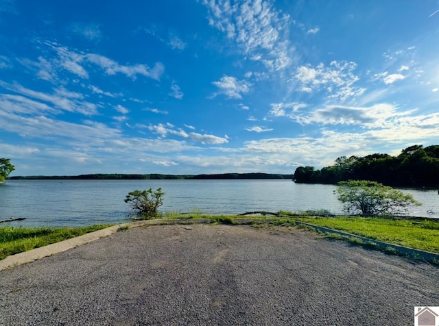 73 Lakeshore Dr, Eddyville, KY 42038