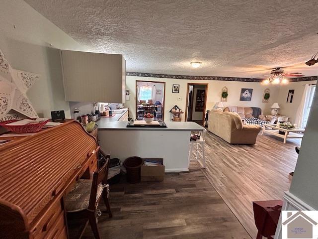 5812 State Route 123, Arlington, KY 42021 - living room with a textured ceiling, dark wood-style flooring, and ceiling fan
