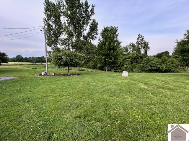 5812 State Route 123, Arlington, KY 42021 - view of grassy yard