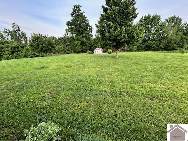 5812 State Route 123, Arlington, KY 42021 - view of green lawn