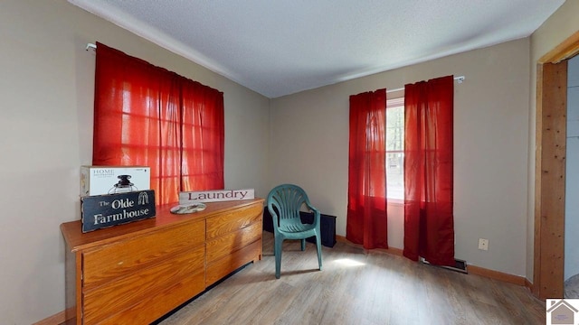199 Park St, Gilbertsville, KY 42044 - living area with wood finished floors and baseboards