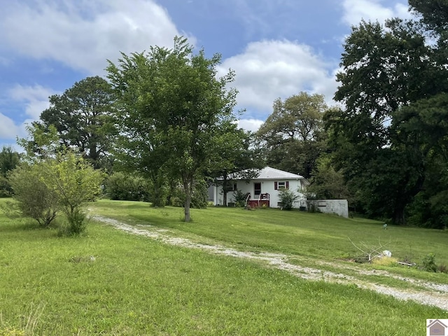 4924 State Route 121 S, Mayfield, KY 42066 - view of green lawn