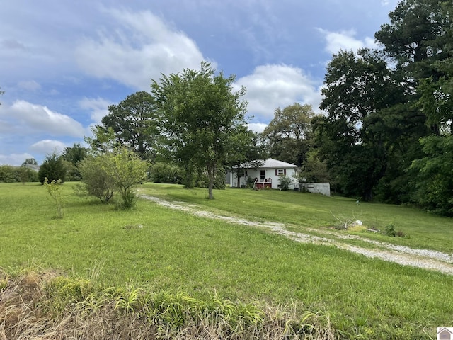 4924 State Route 121 S, Mayfield, KY 42066 - view of green lawn