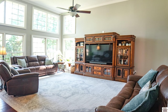 145 Stonecreek Pl, Paducah, KY 42003 - living area with crown molding, ceiling fan, a towering ceiling, and wood finished floors