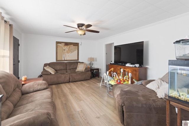 3730 Metropolis Lake Rd, West Paducah, KY 42086 - living room with a ceiling fan, light wood-style flooring, and crown molding