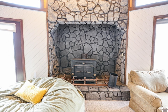 251 Hickory Hill Ln, Benton, KY 42025 - detailed view of a wood stove, carpet, and wood walls