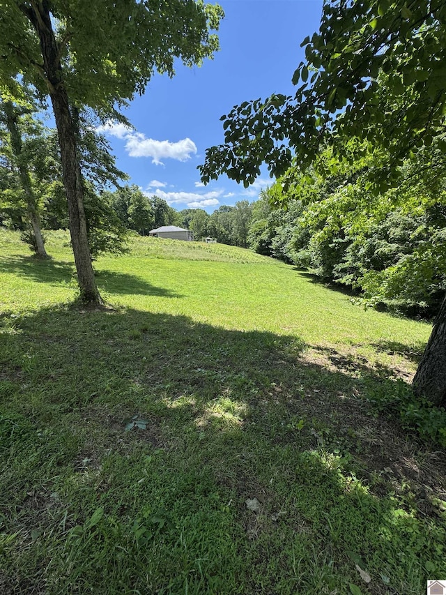 LOT35 E Cobblestone Ct, Kuttawa, KY 42055