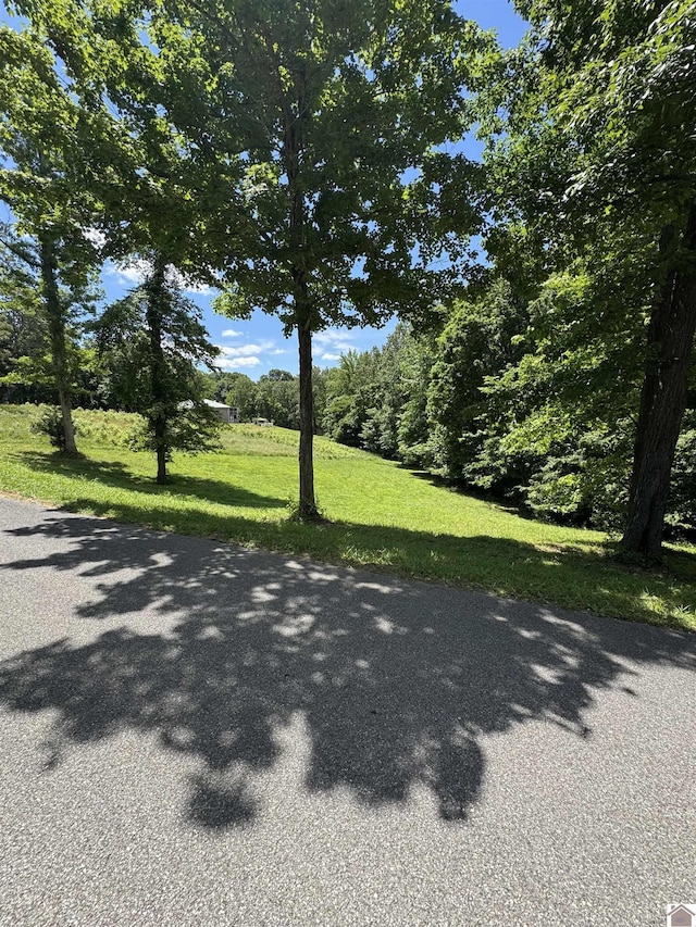 LOT35 E Cobblestone Ct, Kuttawa, KY 42055