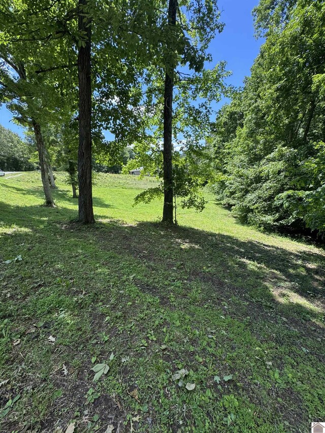LOT35 E Cobblestone Ct, Kuttawa, KY 42055