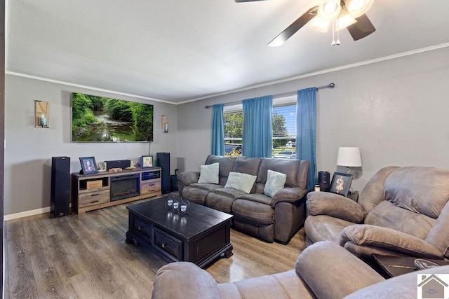 1379 Dunaway Ln, Boaz, KY 42027 - living area with crown molding, wood finished floors, a ceiling fan, and baseboards