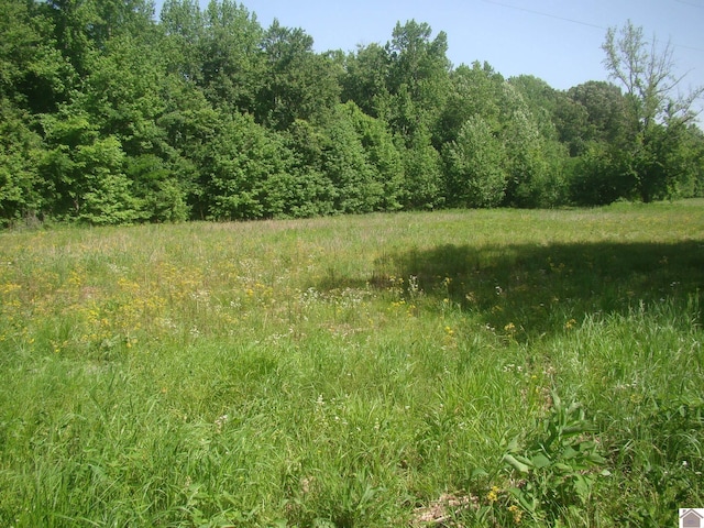 40 Howdy Doody, Cadiz, KY 42211