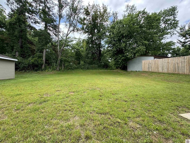 110 Dawson Rd, Princeton, KY 42445 - view of yard