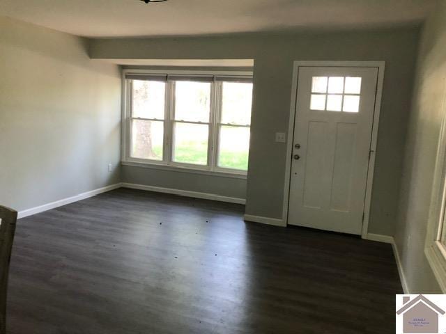 181 W 3rd St, Calvert City, KY 42029 - entryway featuring healthy amount of natural light, baseboards, and dark wood finished floors