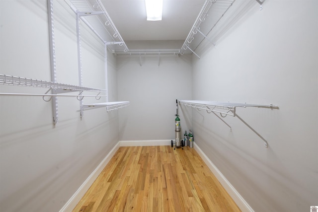 54 Grove Ln, Murray, KY 42071 - walk in closet featuring light wood-style floors