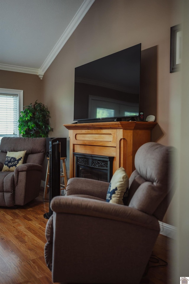 2878 State Route 303, Mayfield, KY 42066 - living room with wood finished floors, ornamental molding, and a fireplace
