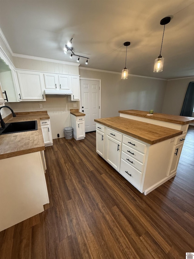 303 Union Cir, Mayfield, KY 42066 - kitchen featuring wooden counters, a sink, dark wood finished floors, crown molding, and white cabinets
