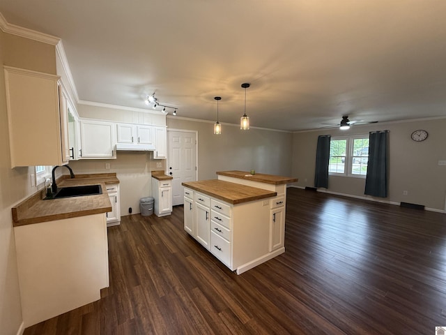 303 Union Cir, Mayfield, KY 42066 - kitchen with wooden counters, a sink, a ceiling fan, ornamental molding, and dark wood-type flooring