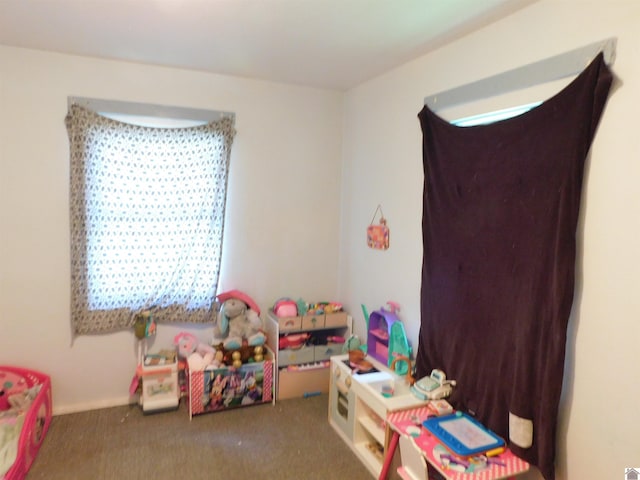 2837 Tennessee, Paducah, KY 42003 - recreation room with carpet floors