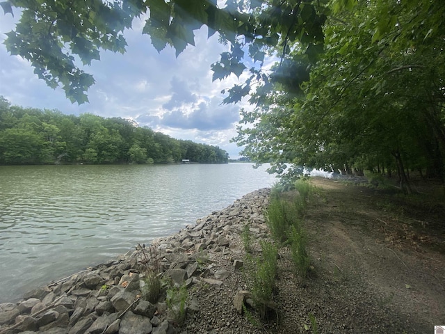 011 Breckinridge Pt, Cadiz, KY 42211