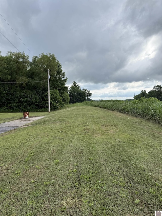 7740 Old Mayfield Rd, Paducah, KY 42003 - view of green lawn
