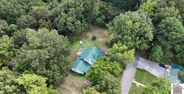 922 S 27th St, Paducah, KY 42003 - aerial view of a forest