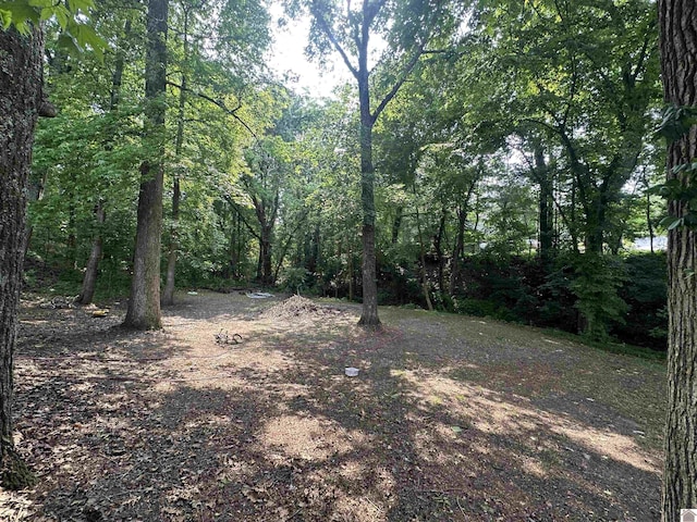 535 Leeds Dr, Paducah, KY 42003 - view of woods