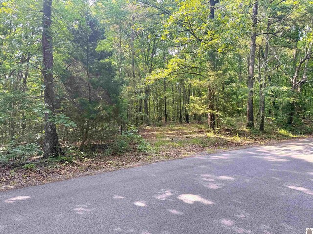 00 Beat Farmer Rd, New Concord, KY 42076