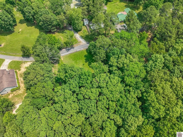 253 Shelton Ln, Hardin, KY 42048