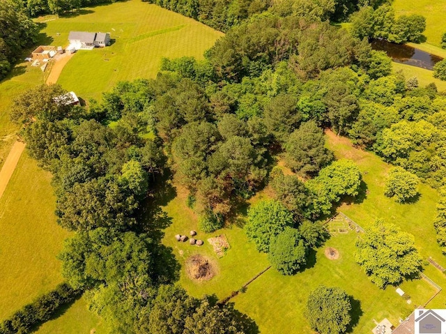 1667 Irvin Cobb Rd, Murray, KY 42071 - overview of rural landscape
